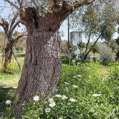 Hort Den Pilot Villa San Rafael De Sa Creu Room photo